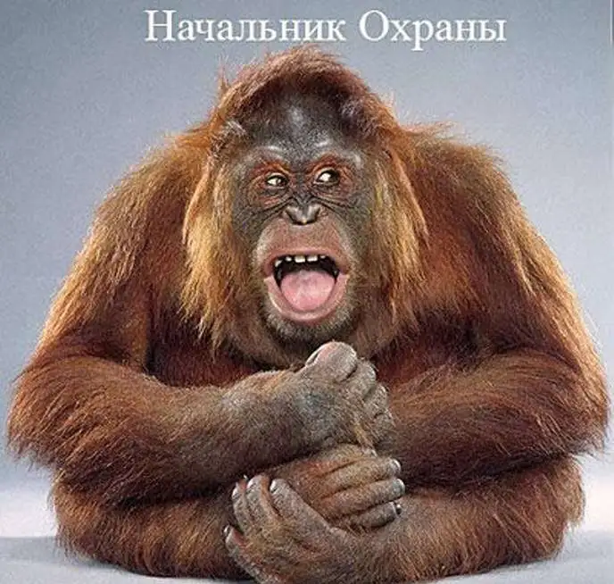 Требуется сотрудник для оформление заказа, фотография 1