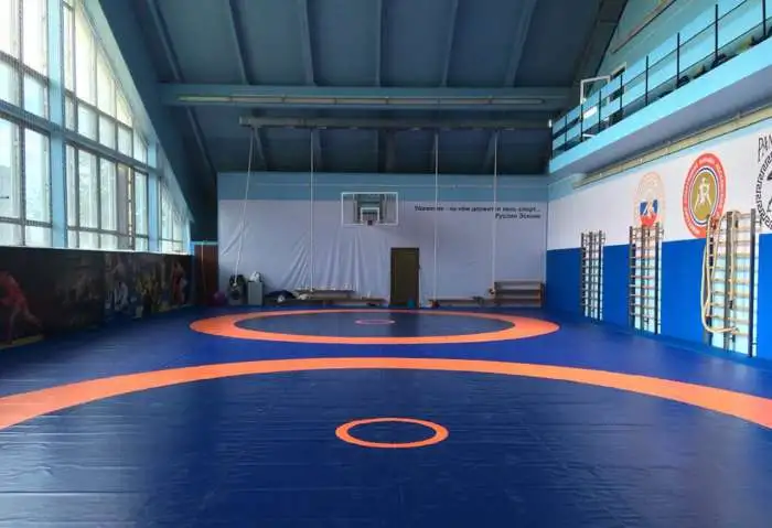 Борцовский ковер, стеновые протекторы, маты..., фотография 3