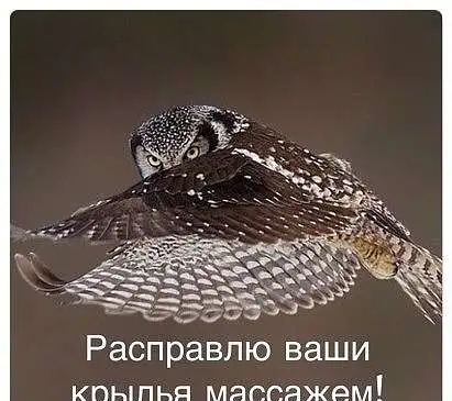 Массаж от профессионального врача, фотография 1