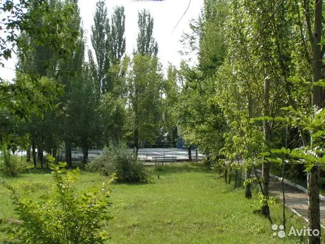 Отдых на Волге Саратов с питанием, фотография 18