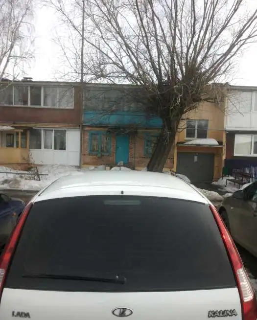 калина, фотография 3