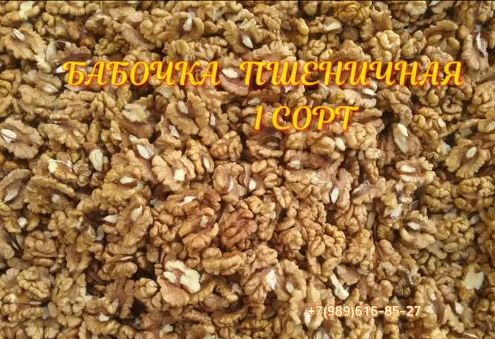 Орехи грецкие оптом, фотография 2