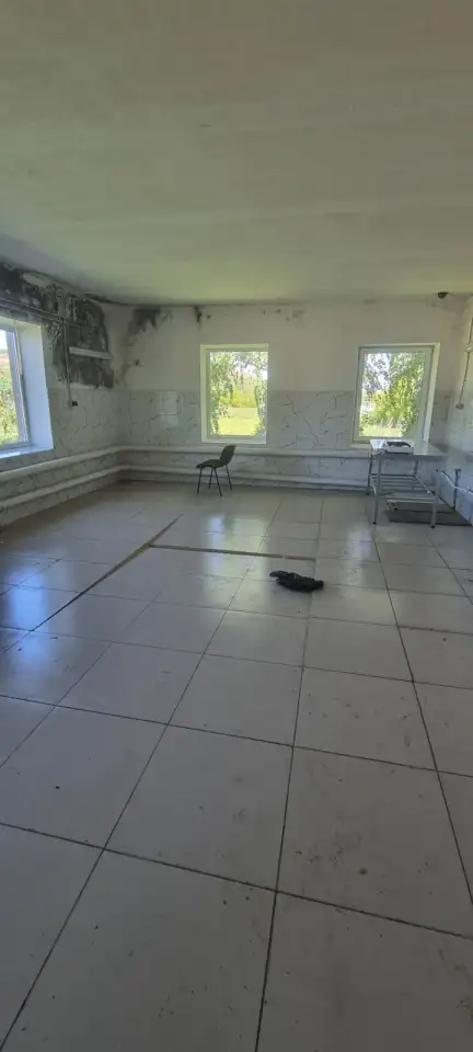 Продам здание 260,4 кв м, Самарская область, Красноярский район,  с. Русская Селитьба, ул.Школьная 45, фотография 2