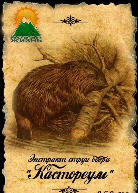 Бобровая струя, фотография 1