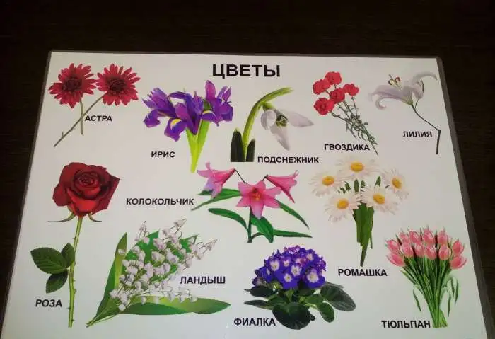 Развивающие плакаты, фотография 4