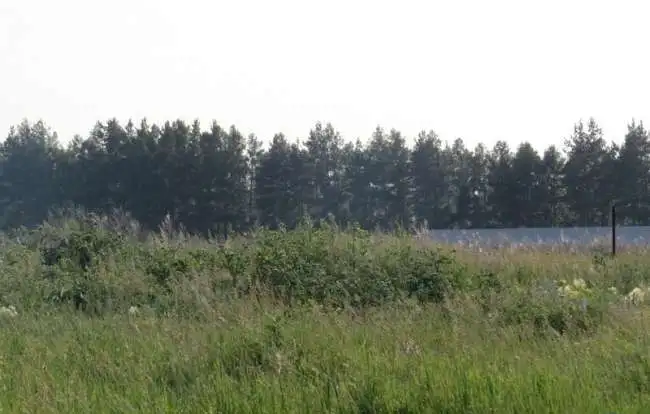 Участок площадью 9.8 соток в п.Слава!!!, фотография 2