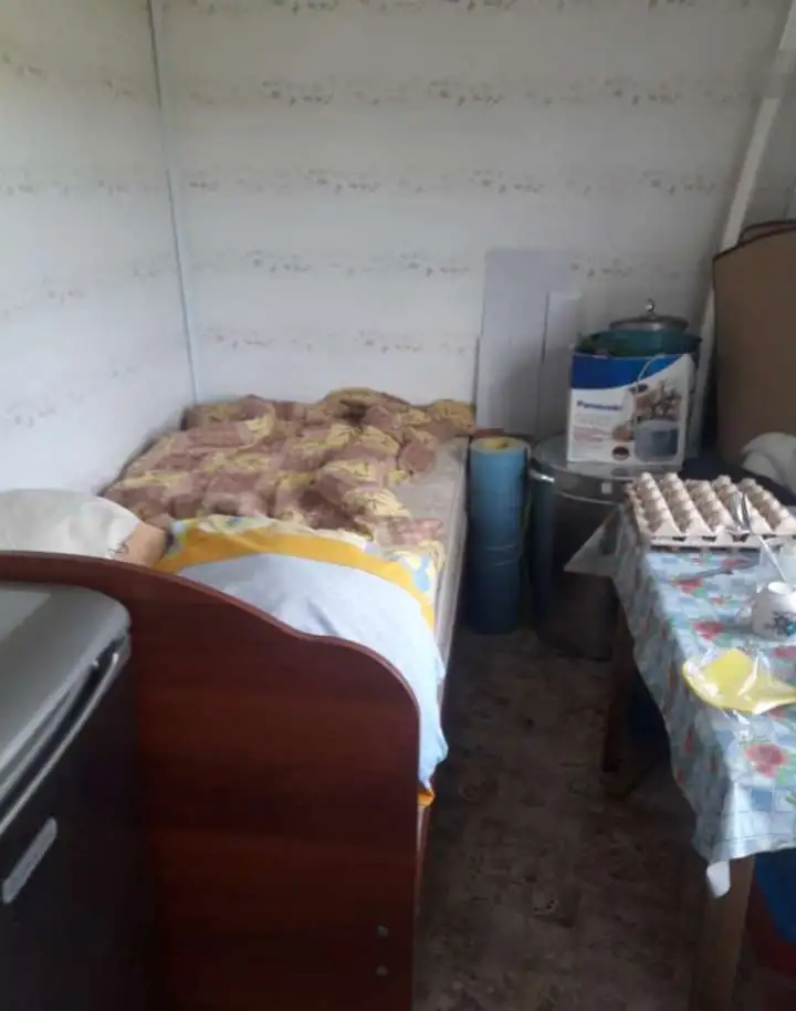 сад в д.Дудкино, фотография 4