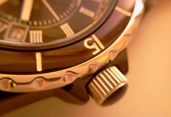 Charles Vogele (Water Resistant 10Bar), фотография 3