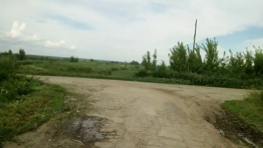 Продаю земельный участок в п.Чемодановка 1Га, фотография 5