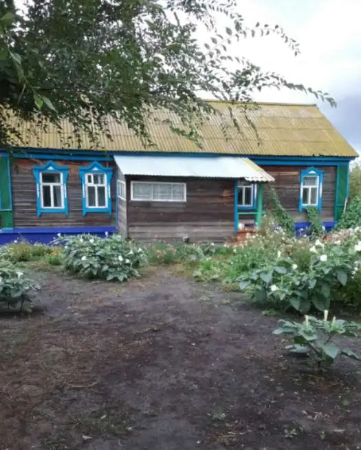 продам дом, самарская область, пестравский район, село марьевка, улица новая, 12 57,00 м2, фотография 4