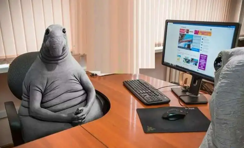 Компьютерный сервис инженер, фотография 1