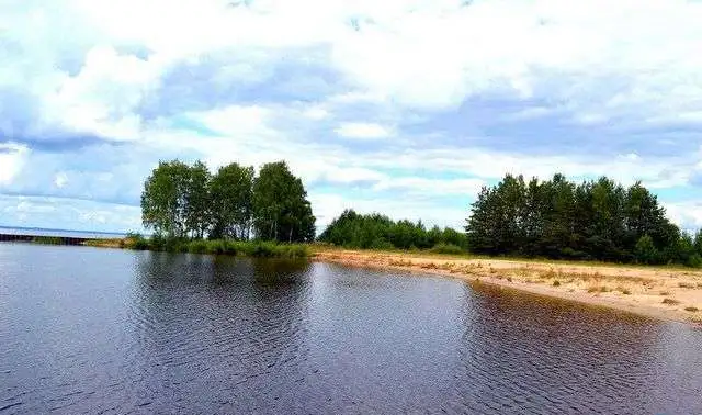 Земельные участки на берегу Горьковского водохранилища., фотография 1