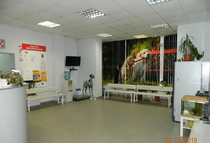 Ветеринарная клиника рядом с метро Ясенево., фотография 4