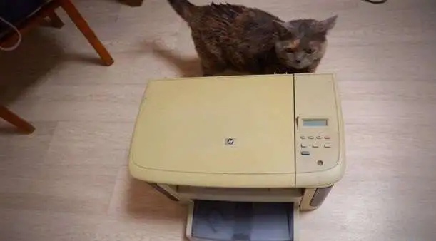 Мфу HP LaserJet M1120, фотография 1