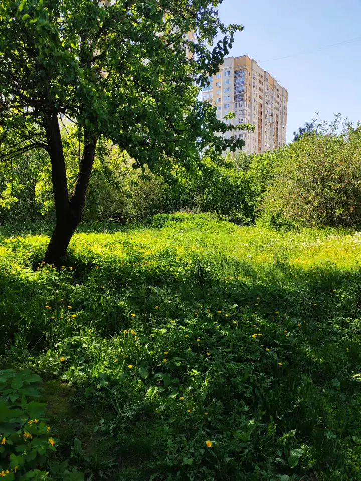 Продаю земельный участок в центре Сормово, Нижний ул. Калашникова д 14, фотография 5
