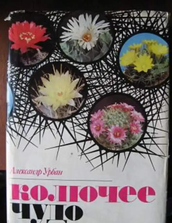 Английский словарь терминов по бизнесу Dictionary of business Terms by Jack Friedman Отпечатано в штате Техас США, фотография 16