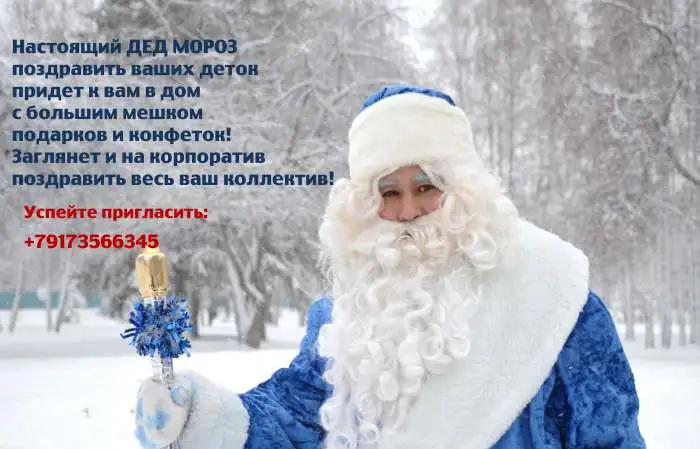 Ведущий Дед Мороз, фотография 1