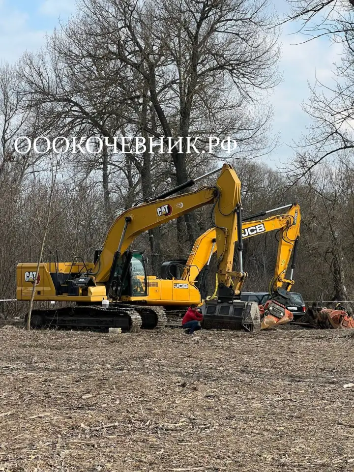 Спил деревьев и кустарников, мульчирование, фотография 2