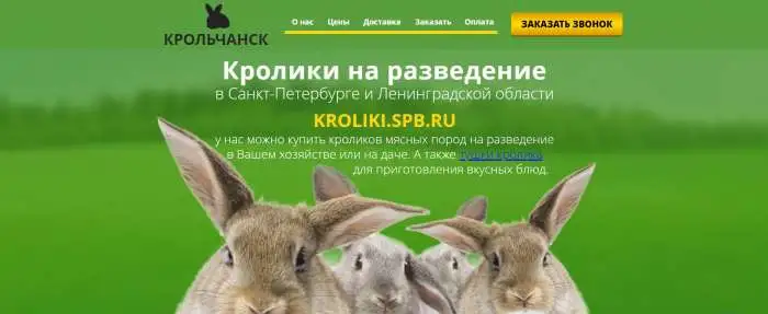 Кролики на разведение, фотография 1