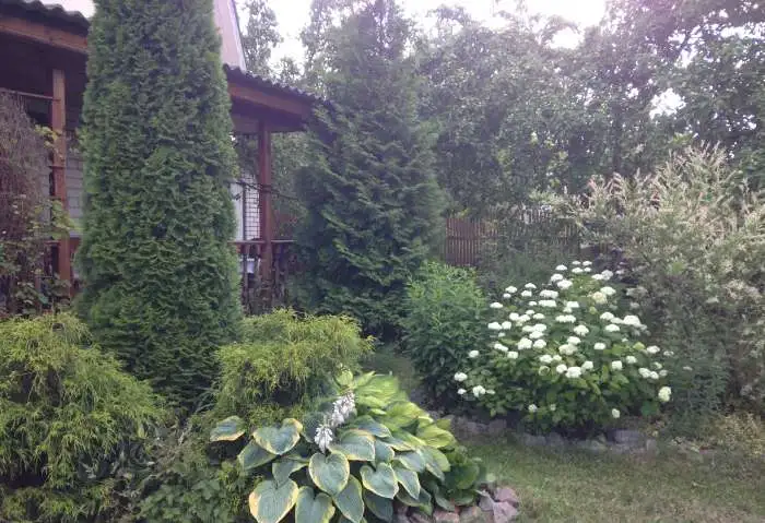 Дача пос. нагулино (автозавод) 70,00 м2, фотография 2