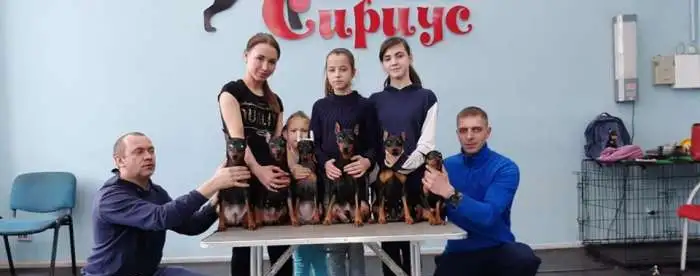 Вязка, фотография 3