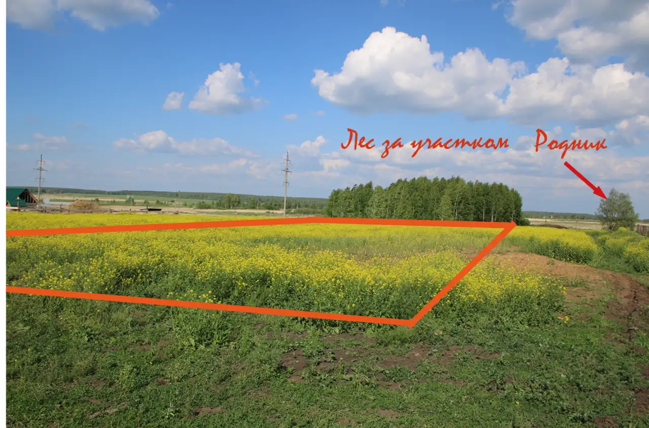 Участок 15 соток  в курортном месте, фотография 4