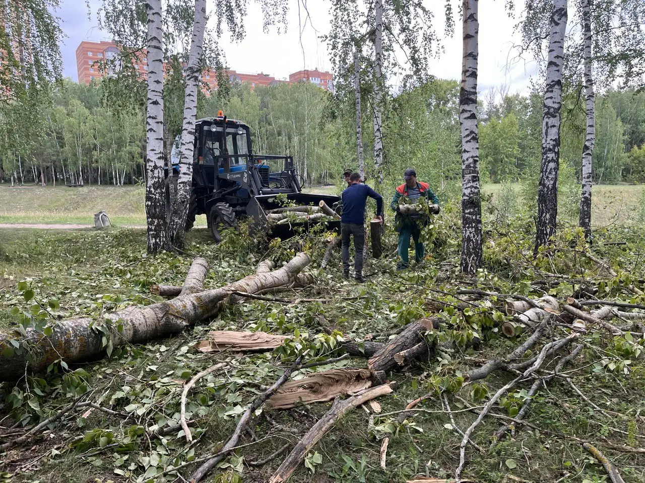Cад, Благоустройство, фотография 5