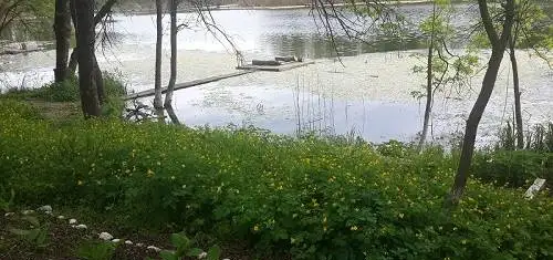 Рыбалка на ельца в Краснодарском крае и отдых, фотография 5