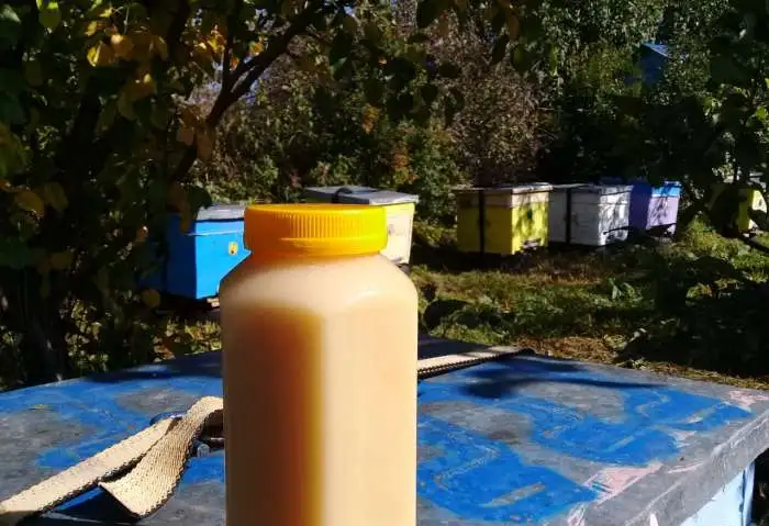 Мёд алтайский с личной пасеки, фотография 2