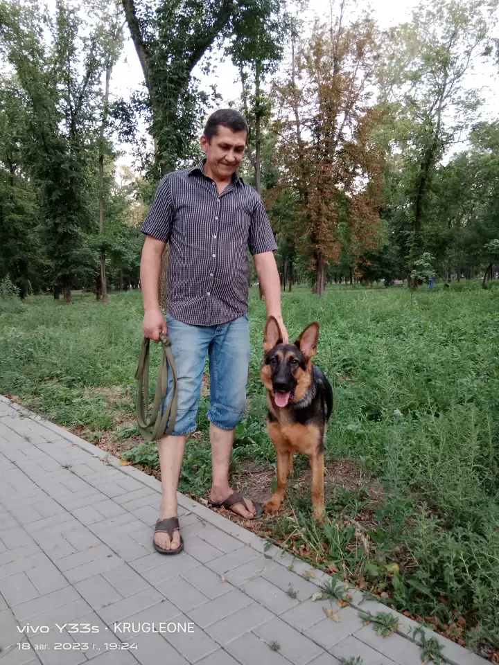 Техник по эксплуатации, Охранник, Помощник по хозяйству, Сотрудник АХО, строитель отделочник., фотография 6
