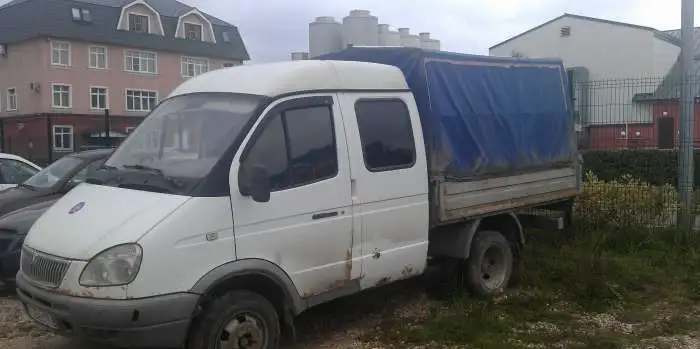 Газель фермер , фотография 3