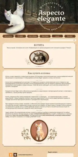 Разработка и создание сайтов, фотография 2