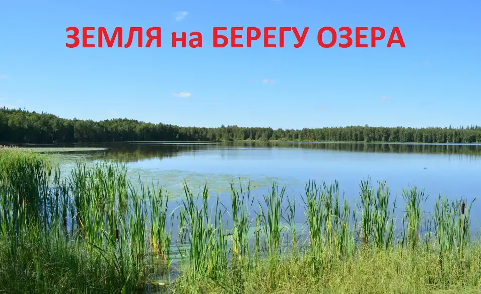 Земля на берегу озера 49 соток в собственности, фотография 1