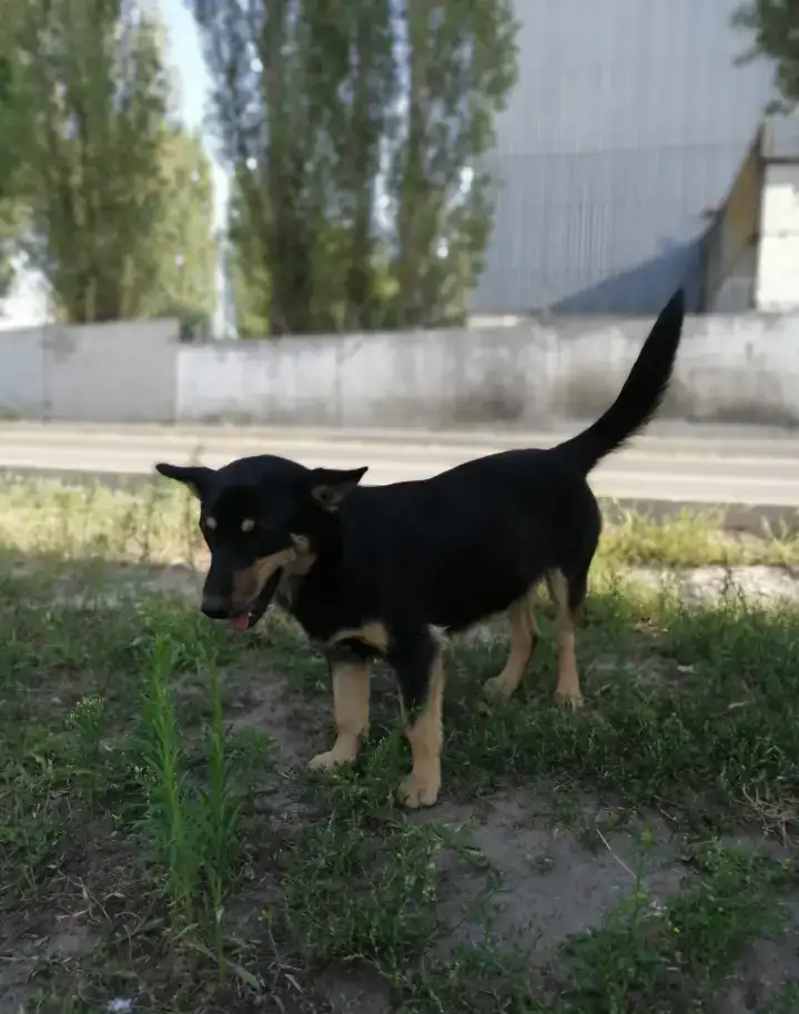 От сердца к сердцу, фотография 5