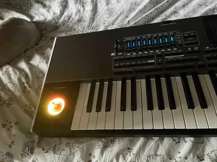 Синтезатор Korg Pa4X не работает, фотография 4