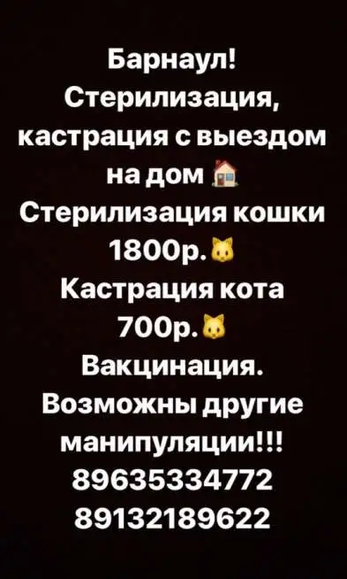 Ветеринарные услуги, фотография 1