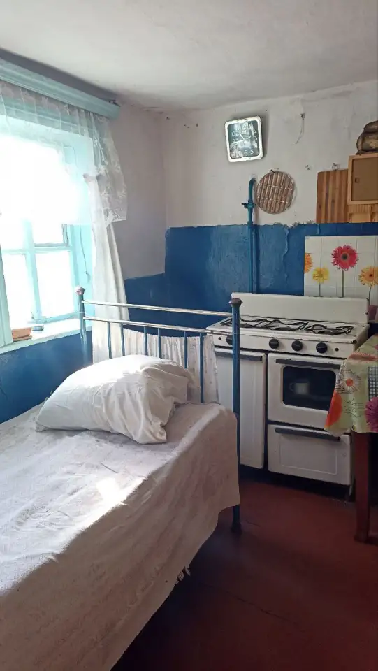 Продам дом с участком в ДНР, Амвросиевский район, село Новопетровское 65,00 м2, фотография 7