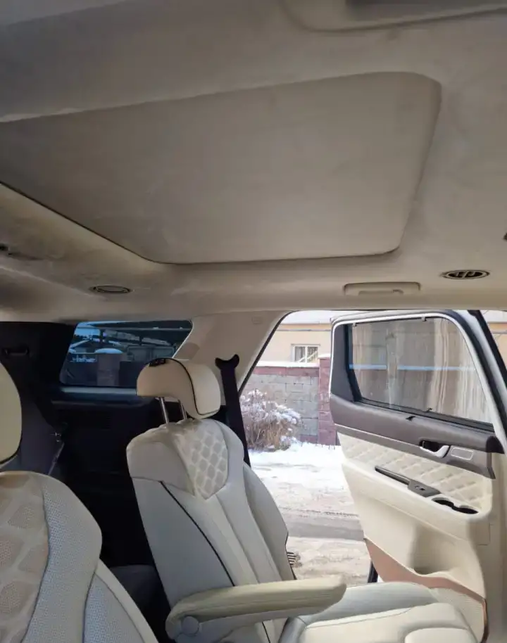 Продаем автомобиль Hyundai Palisade Calligraphy 3.8 2020 года выпуска, фотография 13