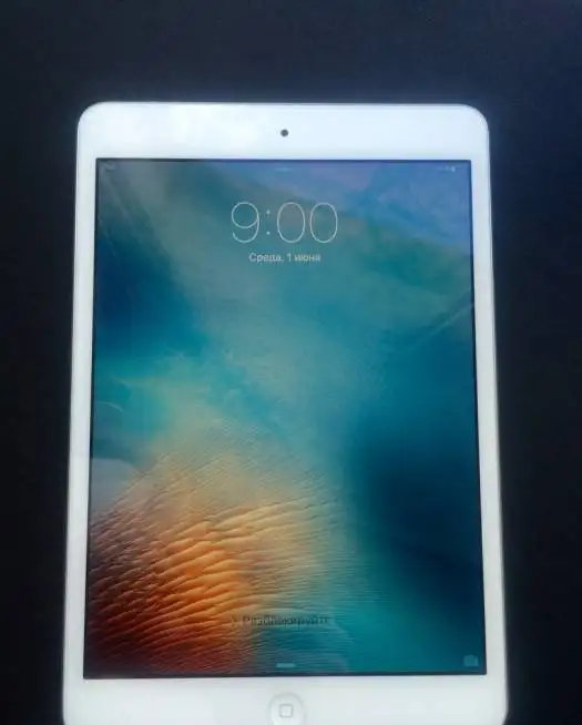 Apple iPad mini 2 Retina Wi-Fi 16Gb, фотография 2