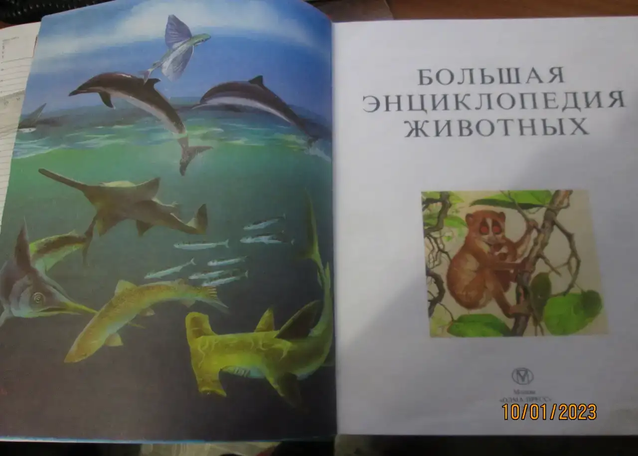 продажа детской энциклопедии, фотография 5