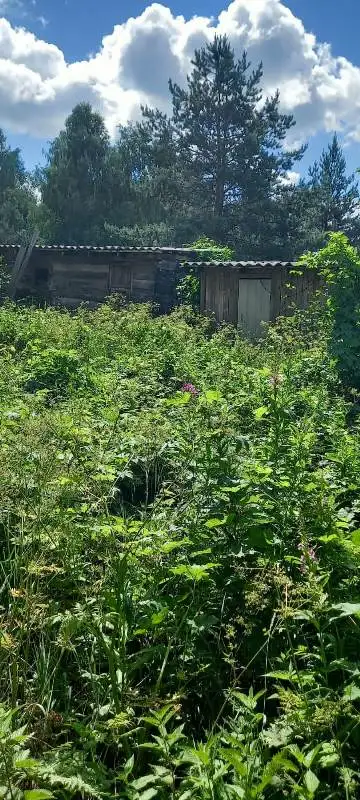 продажа дом Дорожник-3 Дальнеконстантиновский р-н. 50,00 м2, фотография 10
