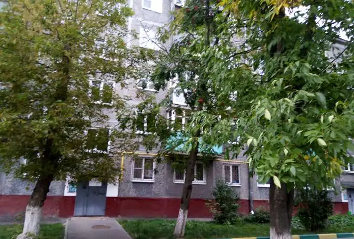 Продается однушка на Лескова, 5 эт., Парк Культуры м., улица Лескова, 19А, фотография 1