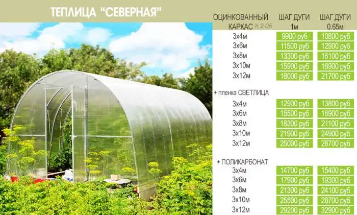 Теплицы из поликарбоната, фотография 2
