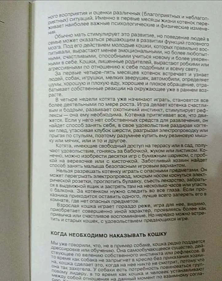 Книга Энциклопедия Кошки. Джино Пуньетти., фотография 4