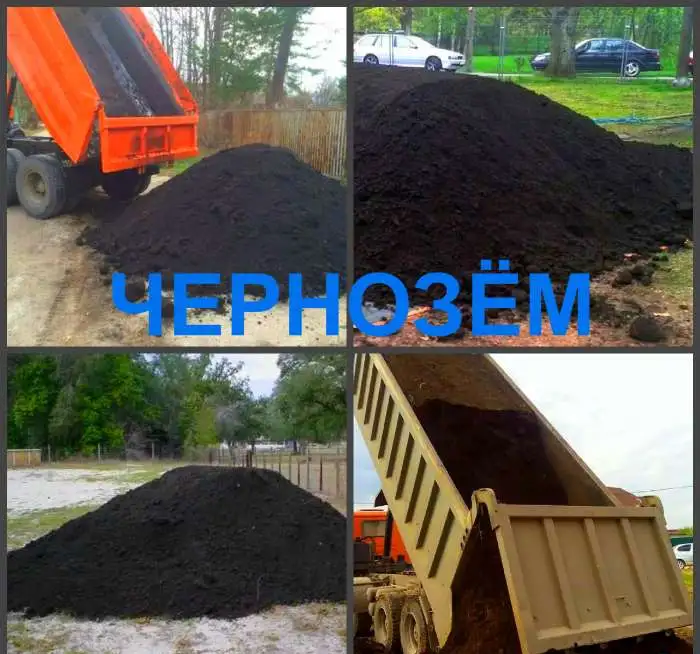 Чернозём Воронеж, доставка чернозёма в Воронеже, фотография 2