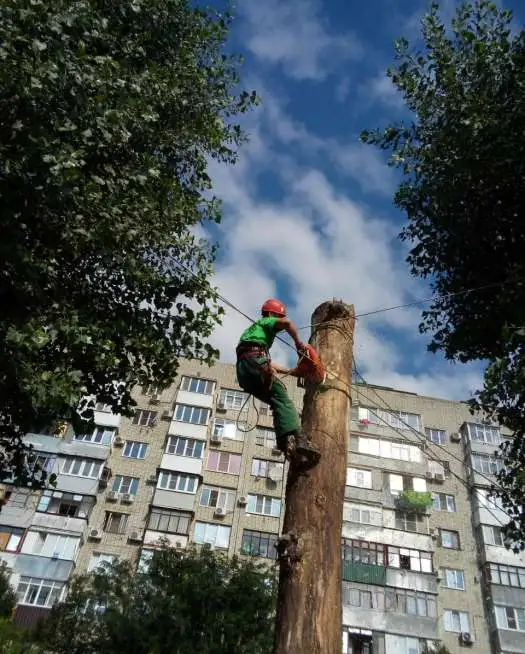 Бригада промышленных альпинистов, фотография 5