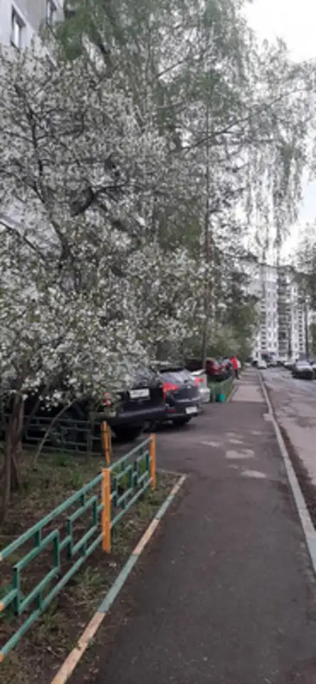 Квартира, 33,00 м², 1 эт., Канавинский, Сергея акимова ул, 2, фотография 12