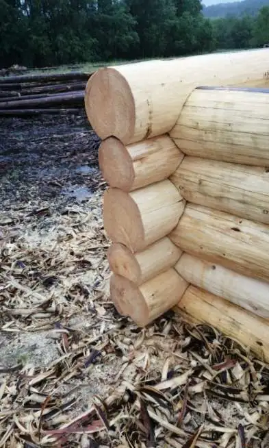 Рубленные срубы БАНЬ и ДОМОВ, фотография 1