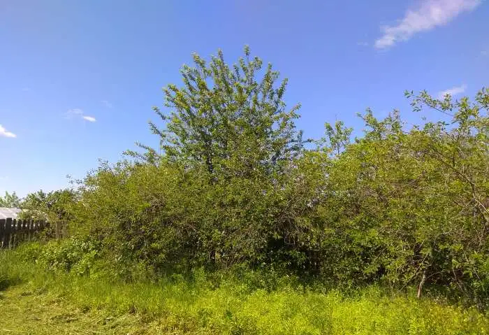 Продам жилой дом 30,00 м2, фотография 9