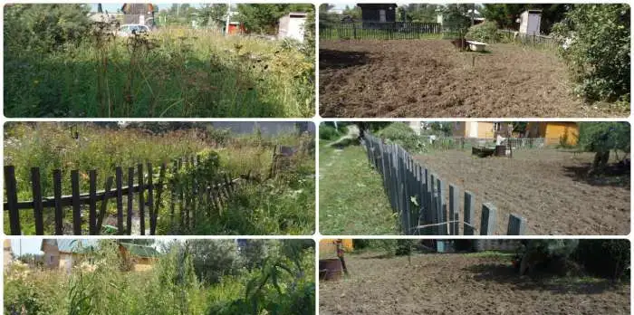 Приведу в порядок запущенный, заброшенный участок, дачу, огород, фотография 1